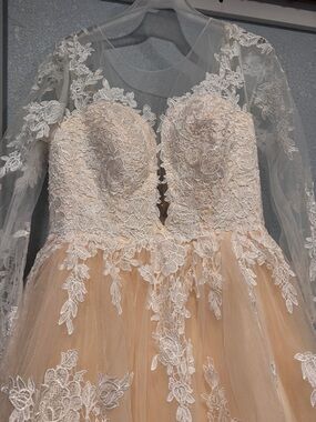 Lace Appliqué Long-Sleeve Wedding Dress in Blush